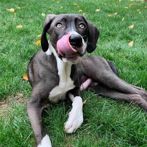 Fundraising Page: Kara Montalbano